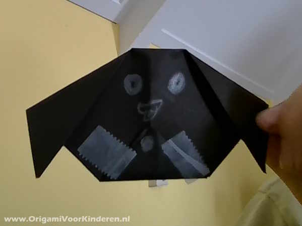 Hond Gezicht